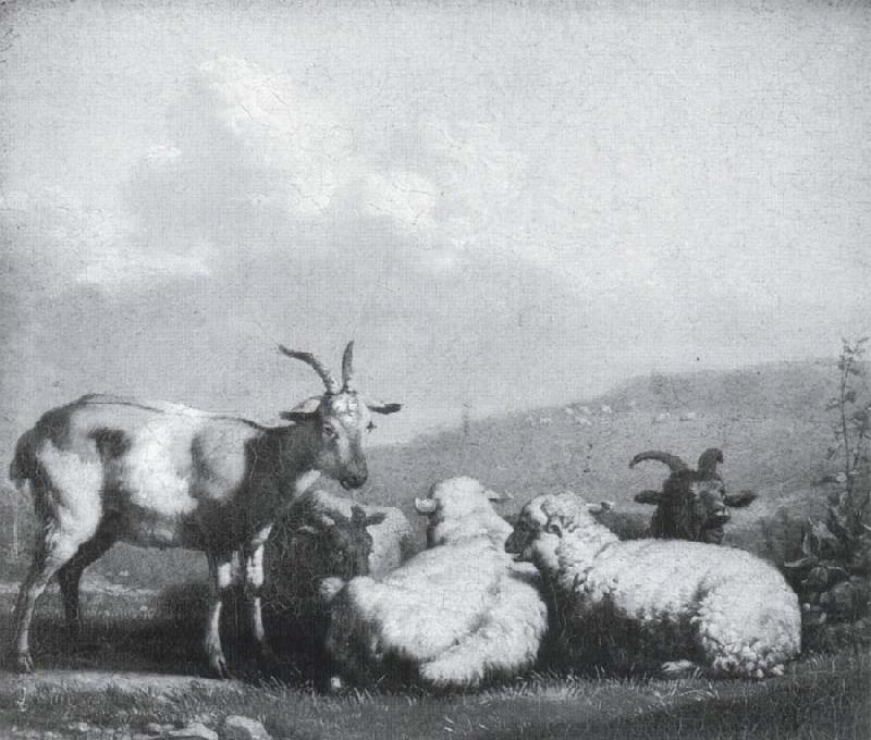 Karel Dujardin Sheep and goats China oil painting art